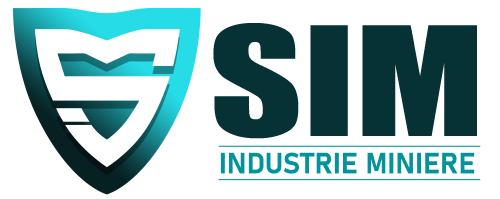 sim services logo